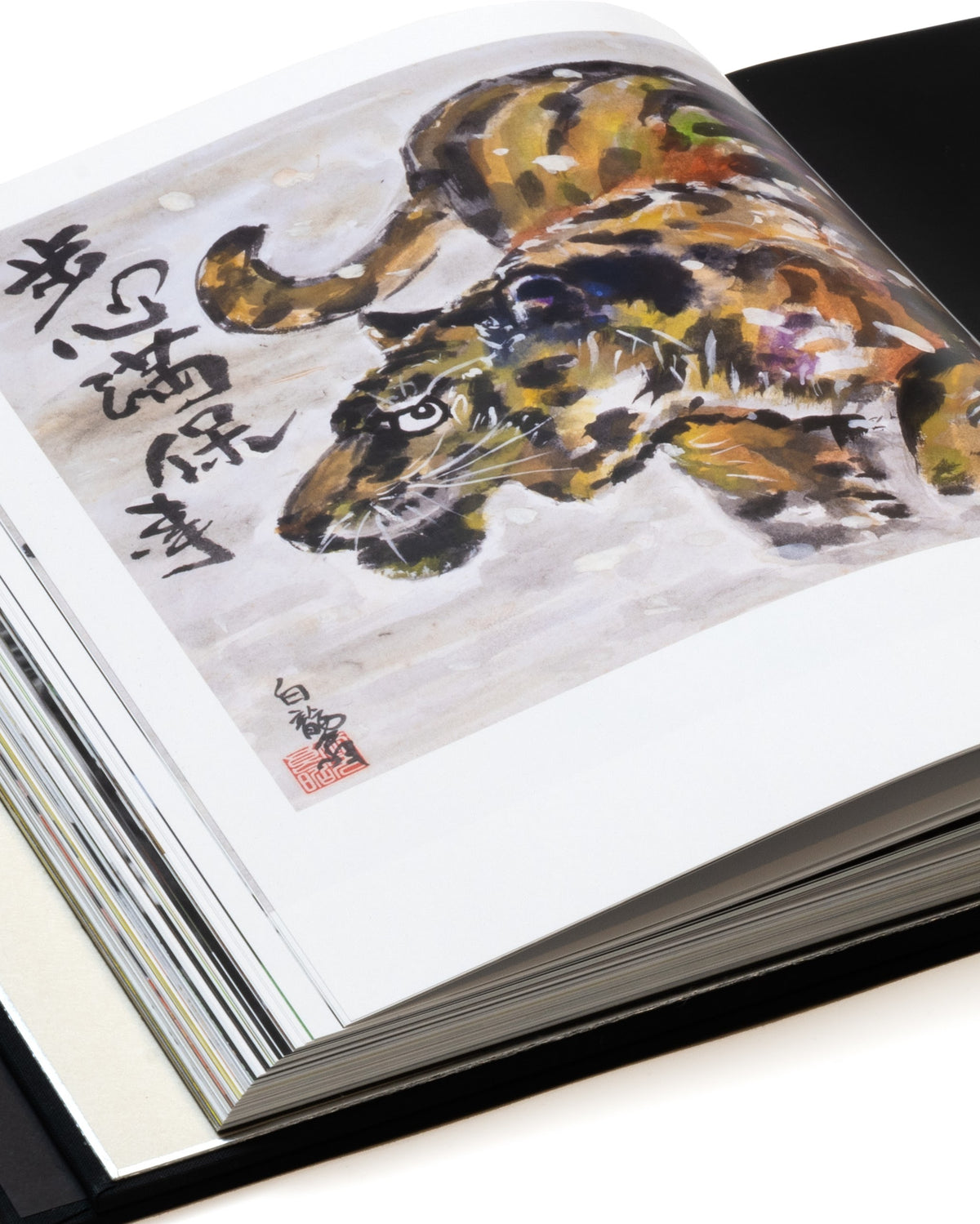 Masaaki Hatsumi — The art of martial arts – Dojo Art Books